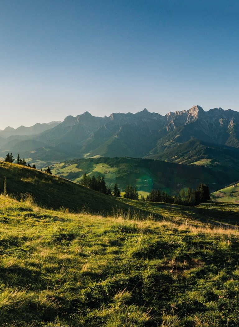 Wide green alpine meadows and rolling hills with view of the Hochkönig massif under blue sky and bright sun | © Hochkönig Tourismus GmbH
