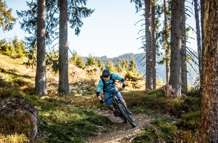 Mountainbiker in blauer Kleidung fährt auf schmalem Trail durch nadelwaldartige Berglandschaft mit Sonnenlicht | © Hochkönig Bergbahnen GmbH